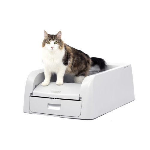 PetSafe® ScoopFree® Clumping SelfCleaning Litter Box & Reviews Wayfair